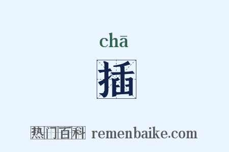 插是什么意思的图片